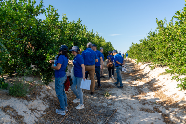 Espanha – Congresso Agronomia