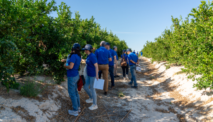 Espanha – Congresso Agronomia