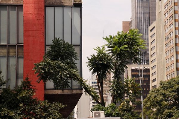 MASP  – Evento Automotivo Clientes | Pesquisa De Tendencia de Cores
