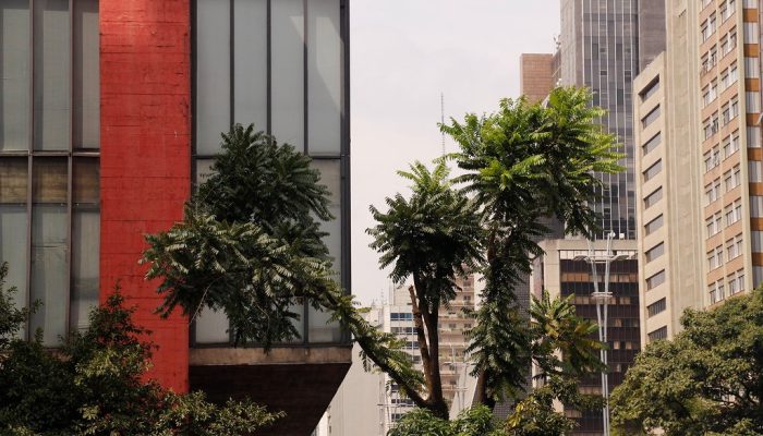 MASP  – Evento Automotivo Clientes | Pesquisa De Tendencia de Cores