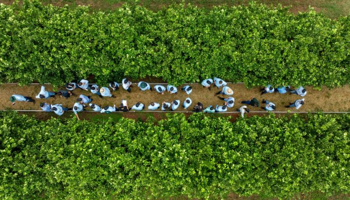 Congresso Comercial em Campo
